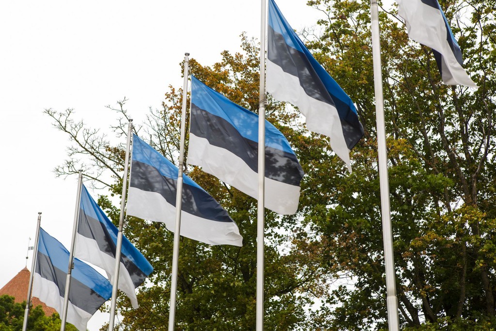 Eesti lipud_allikas Riigikantselei.jpg